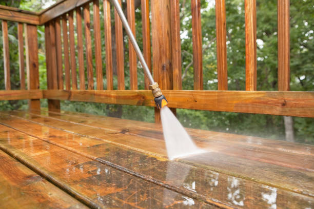 Best House Exterior Washing  in Ladonia, AL